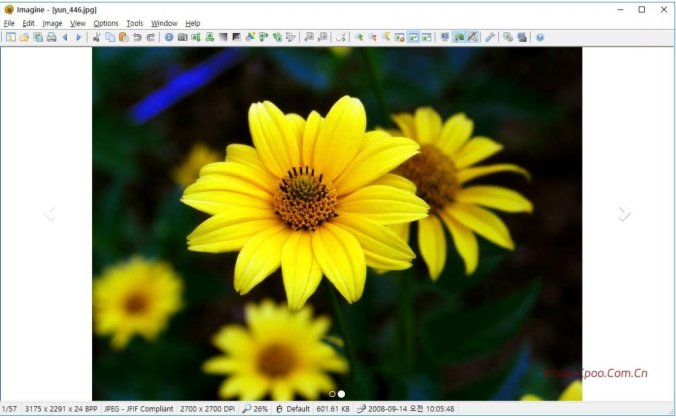 Imagine v2.4.1图片浏览器，支持无损压缩的简体中文开源图片处理软件