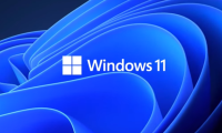 【MSDN】Windows 11 23H2消费者版、商业版22631.3155简体中文版2024年2月官方镜像资源