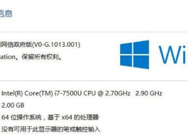 Windows 10 神州网信政府版V2020-L技术支持快速指南